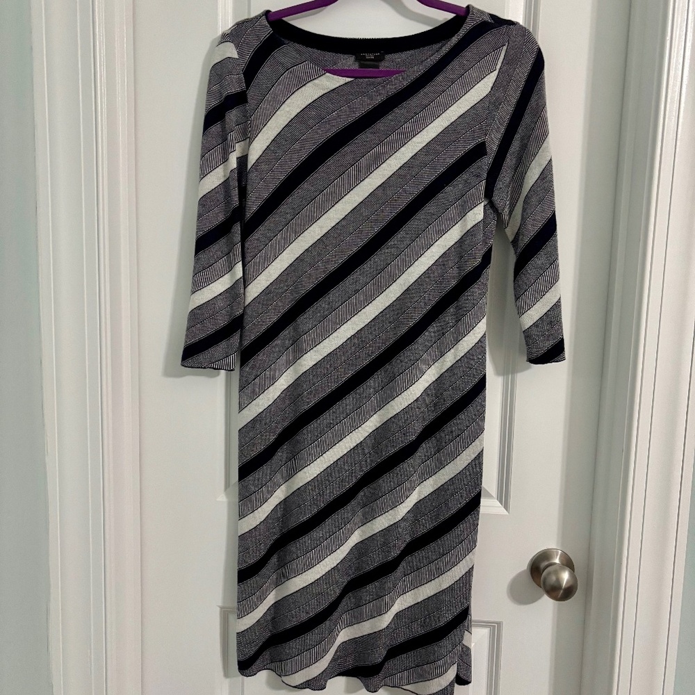 Navy/White Striped Ann Taylor Dress (Size MP)